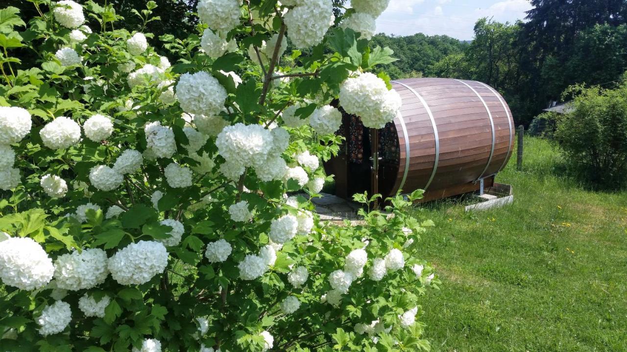 Hinter Den Spiegeln Hotel Хаймбах Екстериор снимка